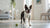 Can Puppies Have Celery? A Comprehensive Guide for Pet Owners