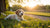 Can Puppies Have Regular Dog Food? Understanding Their Nutritional Needs