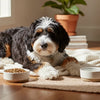 Can Puppy Food Be Given to Adult Dogs? Understanding the Nutritional Needs of Your Pet