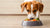 Can Raw Dog Food Cause Constipation? Understanding Digestive Health for Your Furry Companion