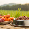 Can Raw Dog Food Cause Diarrhea? Understanding the Risks and Solutions