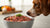 Can Raw Dog Food Make Dogs Sick? A Comprehensive Guide for Pet Owners