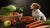 Can Raw Food Cause Allergies in Dogs? Understanding the Risks and Benefits