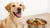 Can Raw Food Give My Dog Diarrhea? Understanding the Risks and Benefits of Raw Diets