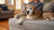 Can Senior Dogs Eat Adult Food? A Comprehensive Guide for Caring Pet Owners