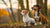 Can Small Breed Dogs Eat Regular Dog Food? A Comprehensive Guide to Their Nutritional Needs