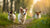 Can Small Dogs Eat Large Breed Dog Food? Understanding Nutritional Needs for Your Pup-140408389871