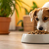 Can the Dog Eat Cat Food? Understanding the Risks and Nutritional Differences