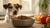 Can Too Much Dog Food Cause Diarrhea? Understanding the Connection