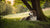Can Too Much Exercise Cause Seizures in Dogs? Understanding the Risks and Safety Measures