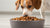 Can Too Much Protein in Dog Food Cause Diarrhea?