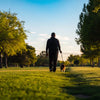 Can Walking Your Dog Help You Lose Weight? Discover the Benefits of Canine Companionship