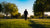 Can Walking Your Dog Help You Lose Weight? Discover the Benefits of Canine Companionship