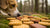 Can We Give Biscuits to Dogs? Understanding Safe Treat Options for Our Furry Friends