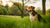 Can Worms Cause Weight Loss in Dogs? Understanding the Impact of Parasites on Pet Health