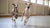 Can You Add Chicken Broth to Dry Dog Food? Exploring the Benefits and Best Practices