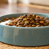 Can You Add Water to Dogs Dry Food? Exploring the Benefits and Considerations