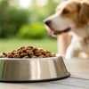 Can You Cook Wet Dog Food? A Comprehensive Guide for Pet Owners