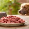 Can You Defrost Raw Dog Food at Room Temperature? A Comprehensive Guide