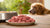 Can You Defrost Raw Dog Food at Room Temperature? A Comprehensive Guide
