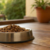Can You Eat Dry Dog Food? Understanding the Risks and Realities
