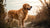 Can You Estimate a Dog's Weight? A Comprehensive Guide for Pet Owners