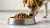 Can You Feed Dry Cat Food to Dogs? Understanding the Risks and Nutritional Needs