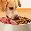 Can You Feed Raw and Kibble to Dogs? A Comprehensive Guide