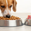 Can You Feed Your Dog Raw and Kibble? A Comprehensive Guide