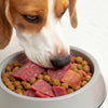 Can You Feed Your Dog Raw and Kibble? The Ultimate Guide to Mixing Diets