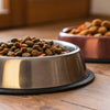 Can You Feed Your Dog Wet and Dry Food? Exploring the Benefits and Best Practices