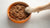 Can You Feed Your Dog Wet Food Only? A Comprehensive Guide