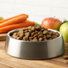 Can You Freeze Dog Food Kibble? A Comprehensive Guide for Pet Owners