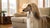 Can You Freeze Homemade Dog Biscuits? Tips and Insights on Storing Your Pup’s Favorite Treats