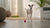 Can You Freeze Kibble? Exploring the Benefits and Best Practices for Dog Owners