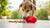 Can You Freeze Wet Dog Food in a Kong? The Ultimate Guide to Creative Dog Feeding