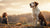 Can You Give a Dog a Biscuit? Understanding Treats for Our Furry Friends-141105758447