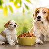 Can You Give Adult Dog Food to Puppies? Understanding The Nutritional Needs of Your Canine Companion