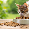 Can You Give Cats Dry Dog Food? Understanding the Nutritional Needs of Your Feline Friend