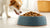 Can You Give Dry Cat Food to Dogs? Understanding the Risks and Nutritional Needs