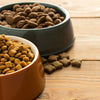 Can You Give Dry Dog Food to Cats? Understanding the Nutritional Differences