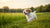 Can You Give Puppies Regular Dog Food? Understanding the Nutritional Needs of Your Growing Pup