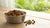 Can You Heat Up Dog Food? Understanding the Benefits and Best Practices
