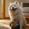 Can You Heat Up Wet Dog Food? What Every Dog Owner Should Know About Warming Meals