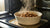 Can You Heat Wet Dog Food? A Comprehensive Guide to Warming Your Pup's Meals