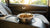 Can You Leave Dry Dog Food in a Hot Car? Essential Insights for Pet Owners