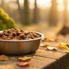 Can You Leave Wet Dog Food Out? Essential Guidelines for Pet Owners