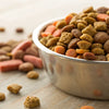 Can You Mix Dry and Raw Dog Food? Understanding the Benefits and Best Practices