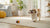 Can You Mix Dry Dog Food with Raw? Understanding the Best Feeding Practices for Your Dog