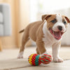 Can You Mix Grain and Grain Free Dog Food? What Every Dog Owner Should Know